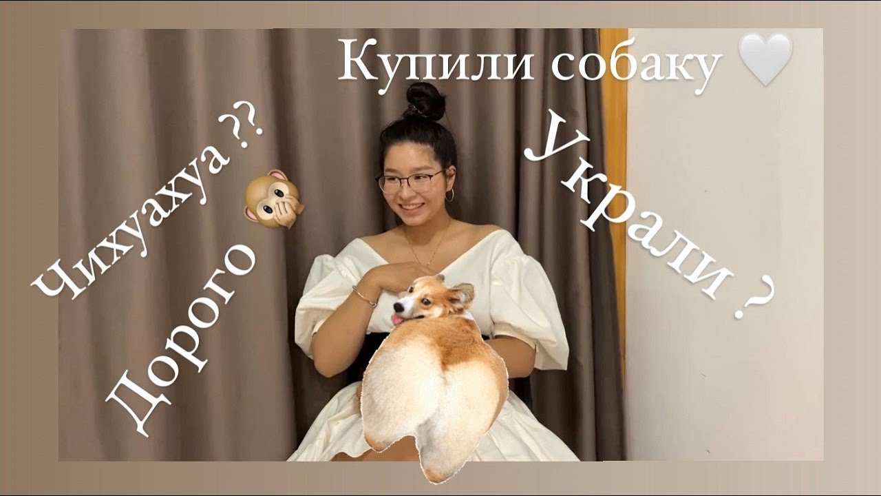 || ВЛОГ: ПЕРВОЕ ВИДЕО. МОЙ ДЕНЬ. МОЯ ПЕРВАЯ СОБАКА! || чихуахуа влог