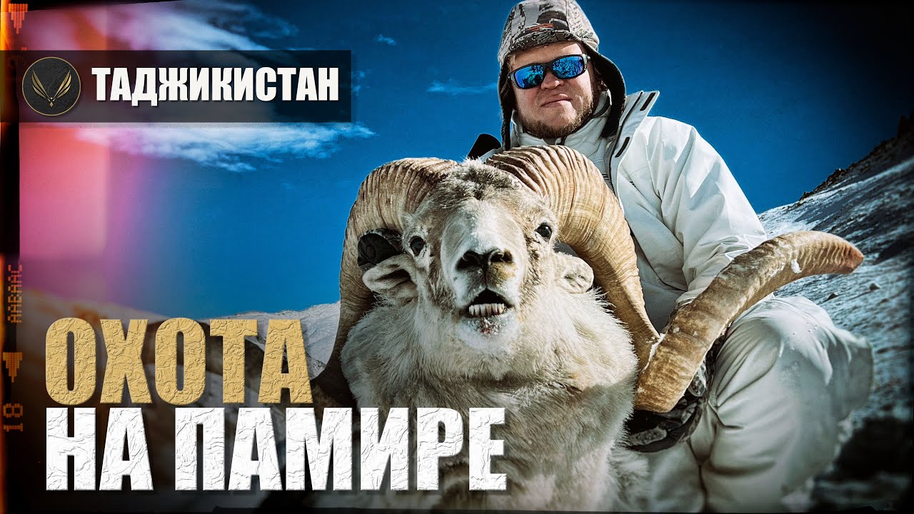 ГОРНАЯ ОХОТА НА ПАМИРЕ (Таджикистан) горный баран Марко Поло и другие |ОХОТА С ДЕНИСОМ МОРОЗОВЫМ