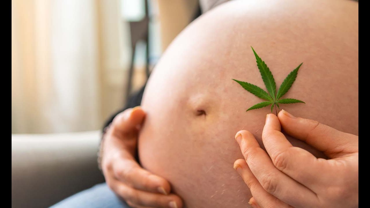 Consumo de marihuana en el embarazo aumenta riesgo de desenlace neonatal adverso
