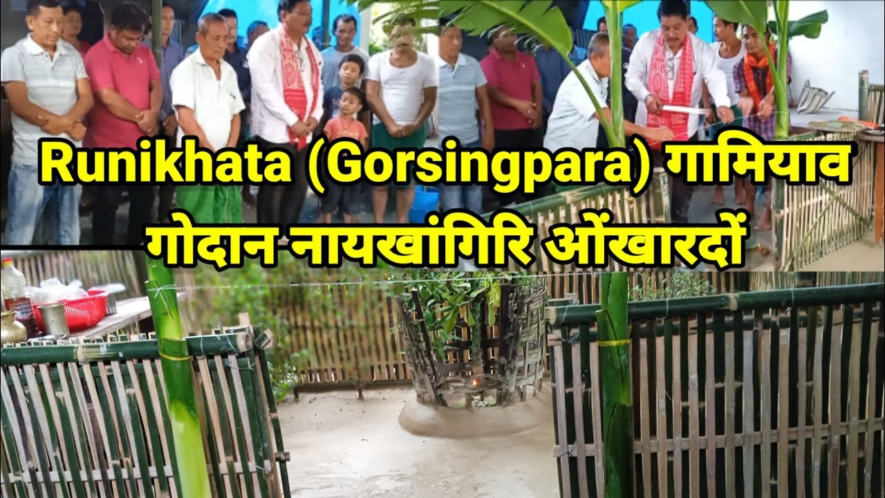 Runikhata gorsingpara gamiyao naikangra wngkardwng @sabitadaimaryvlog8040