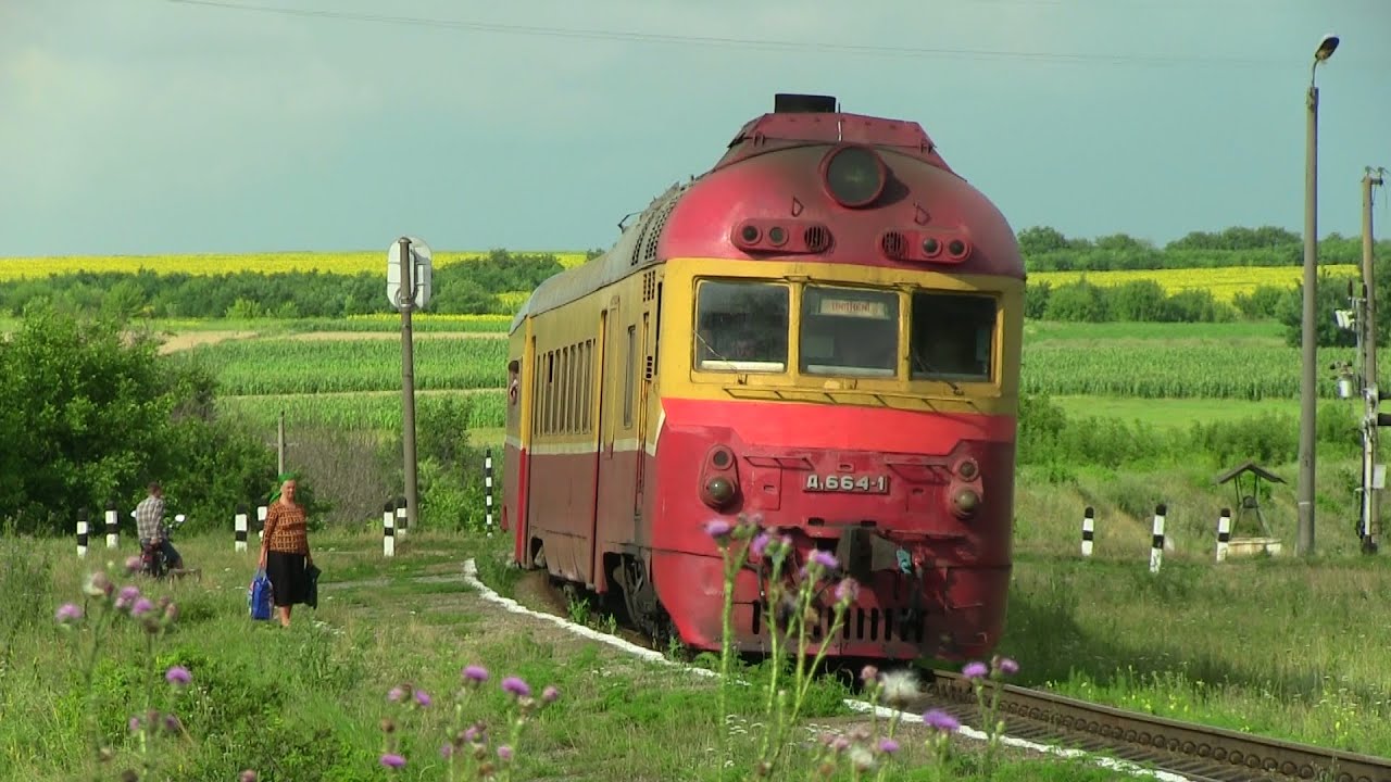 Дизель-поезд Д1-664 на о.п. Совхоз / D1-664 passing Sovhoz stop