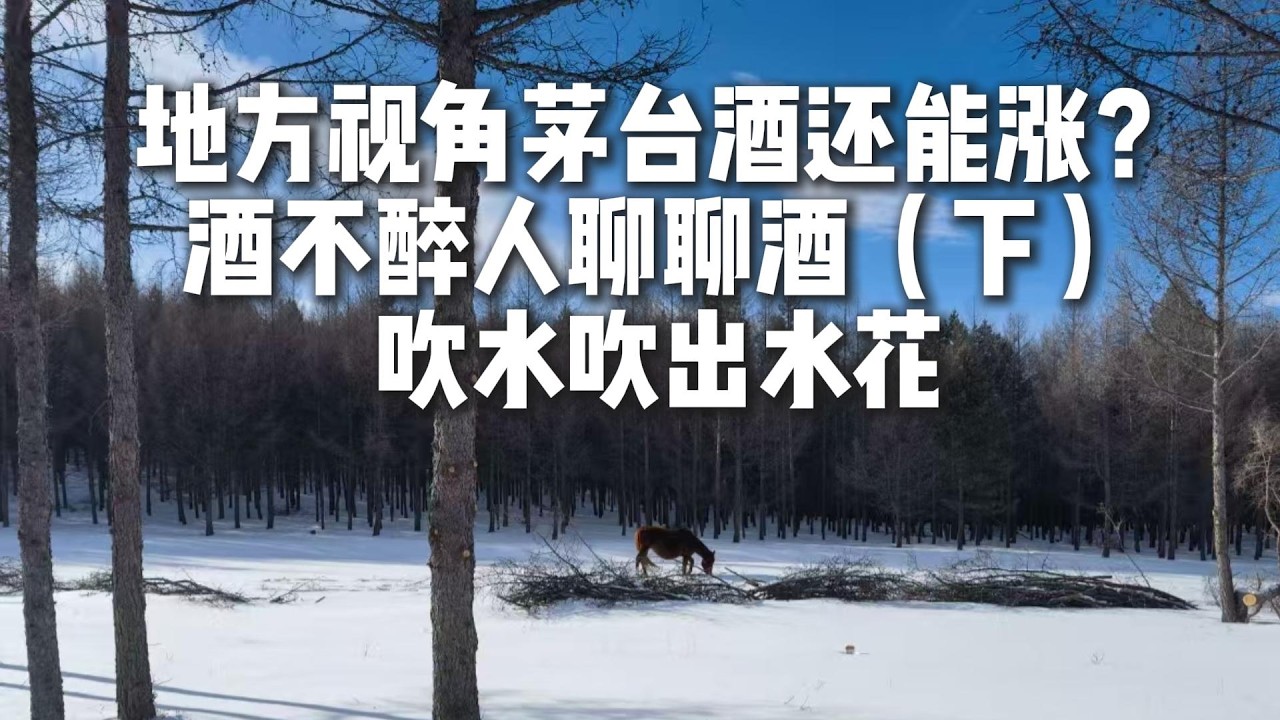 地方政府视角，每瓶茅台酒有多大的财政贡献？以后茅台酒还会涨价吗？酒不醉人聊聊酒（下）吹水吹出水花