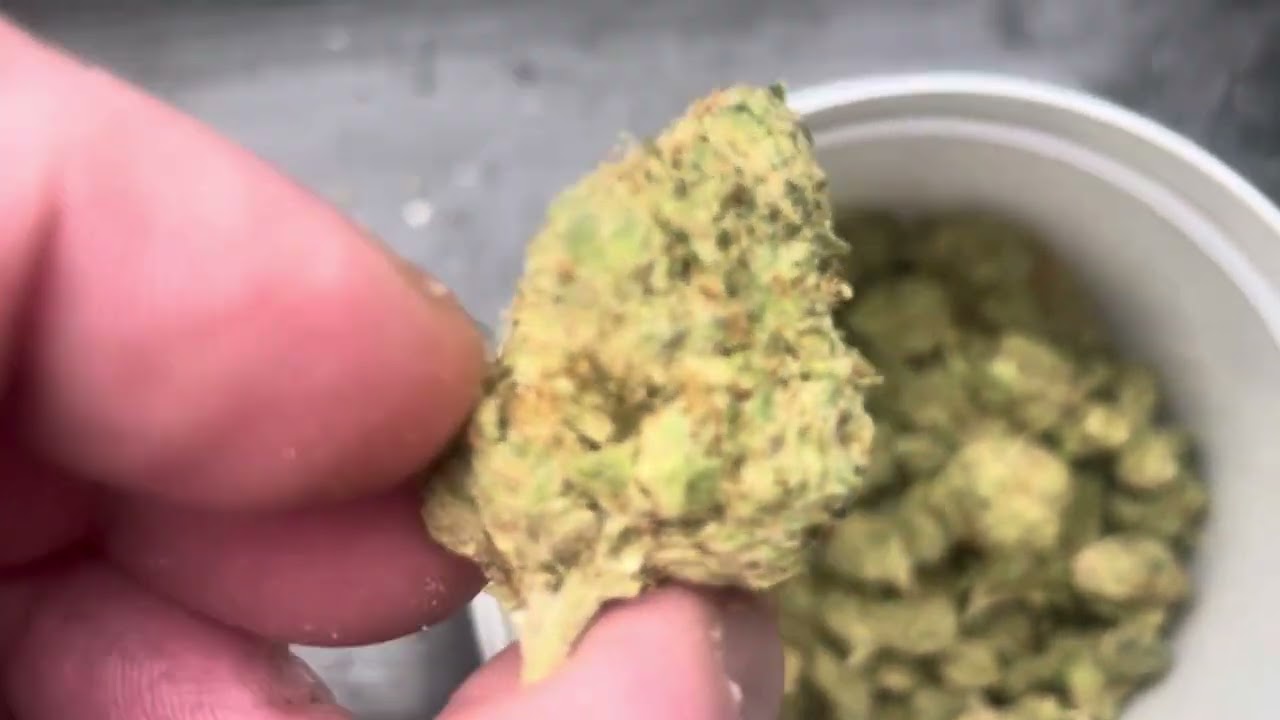 Avaay 34,1 ocean grown Cookies 