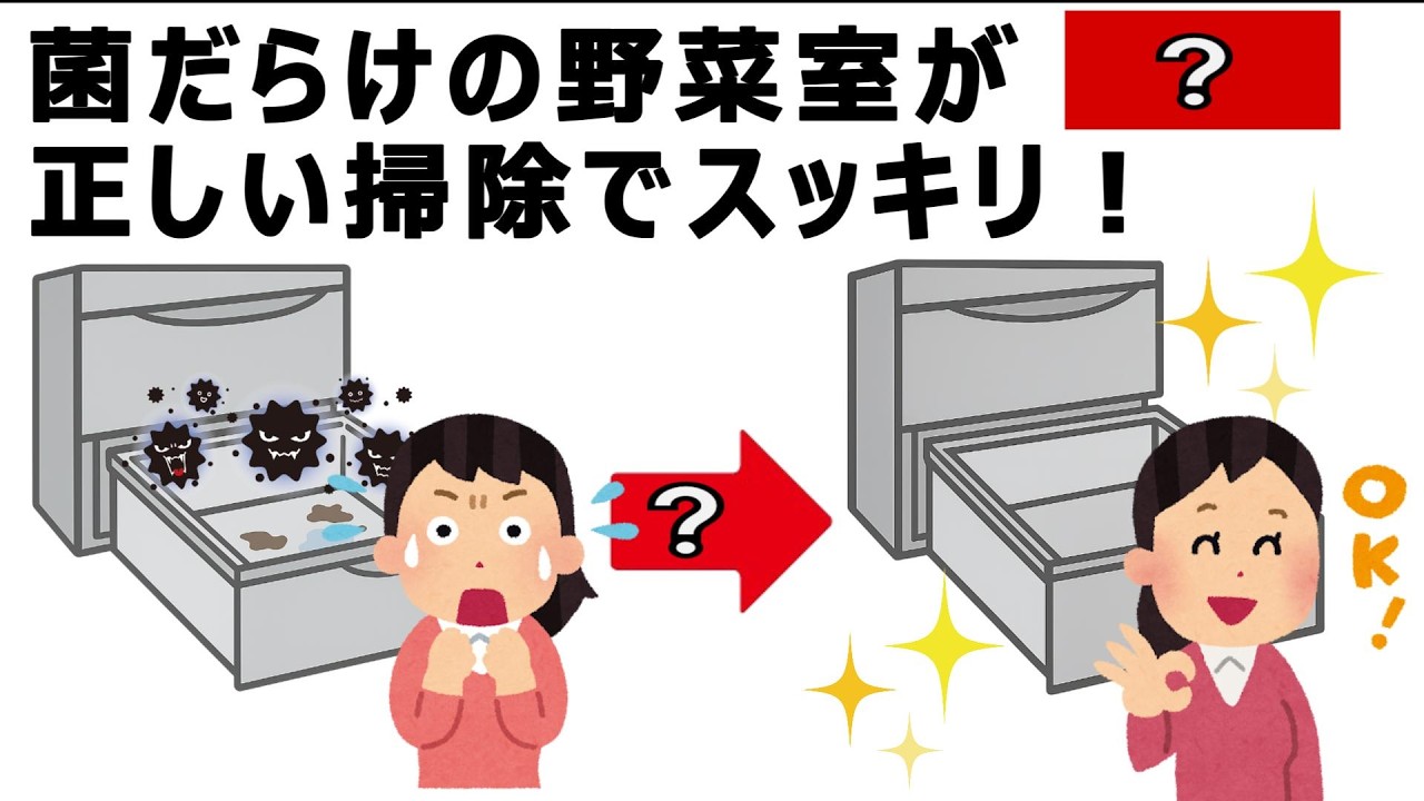 冷蔵庫の臭い・汚れ・食中毒を防ぐ掃除方法｜野菜室・ドアポケットの正しいお手入れ手順