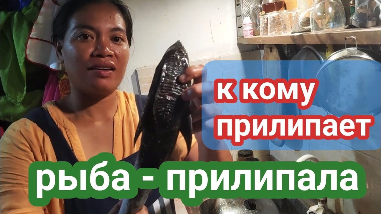 в тайфуне и вне его
