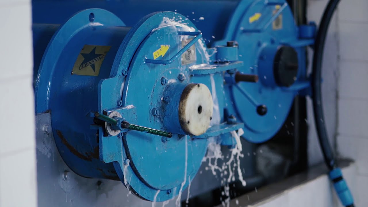 Pralnia Super Standard - technologia prania dywanów