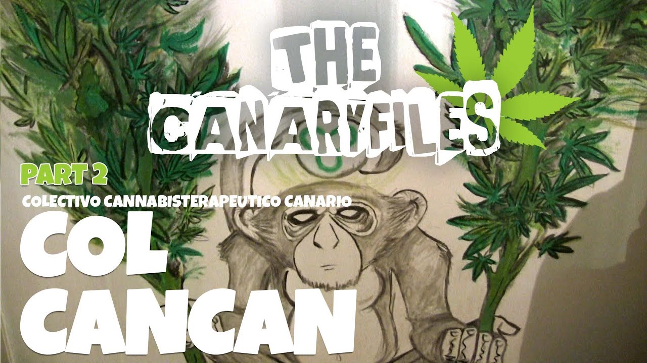 N&deg; 237 COL.CANCAN