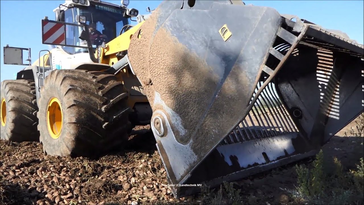 Liebherr-Holmer-Volvo / Rübenverladung - Loading Beets  2018