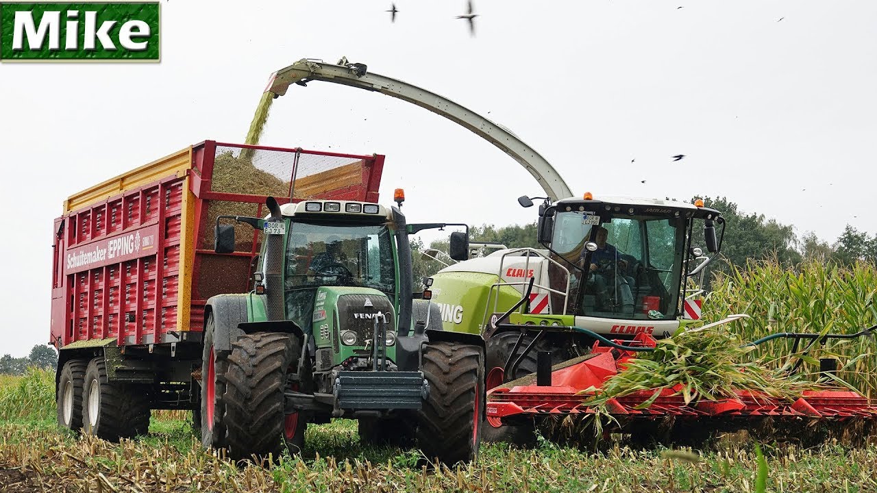 2019 | Mais häckseln mit Claas Jaguar 950 [Type 498] | Josef Epping | Fendt | Schuitemaker.