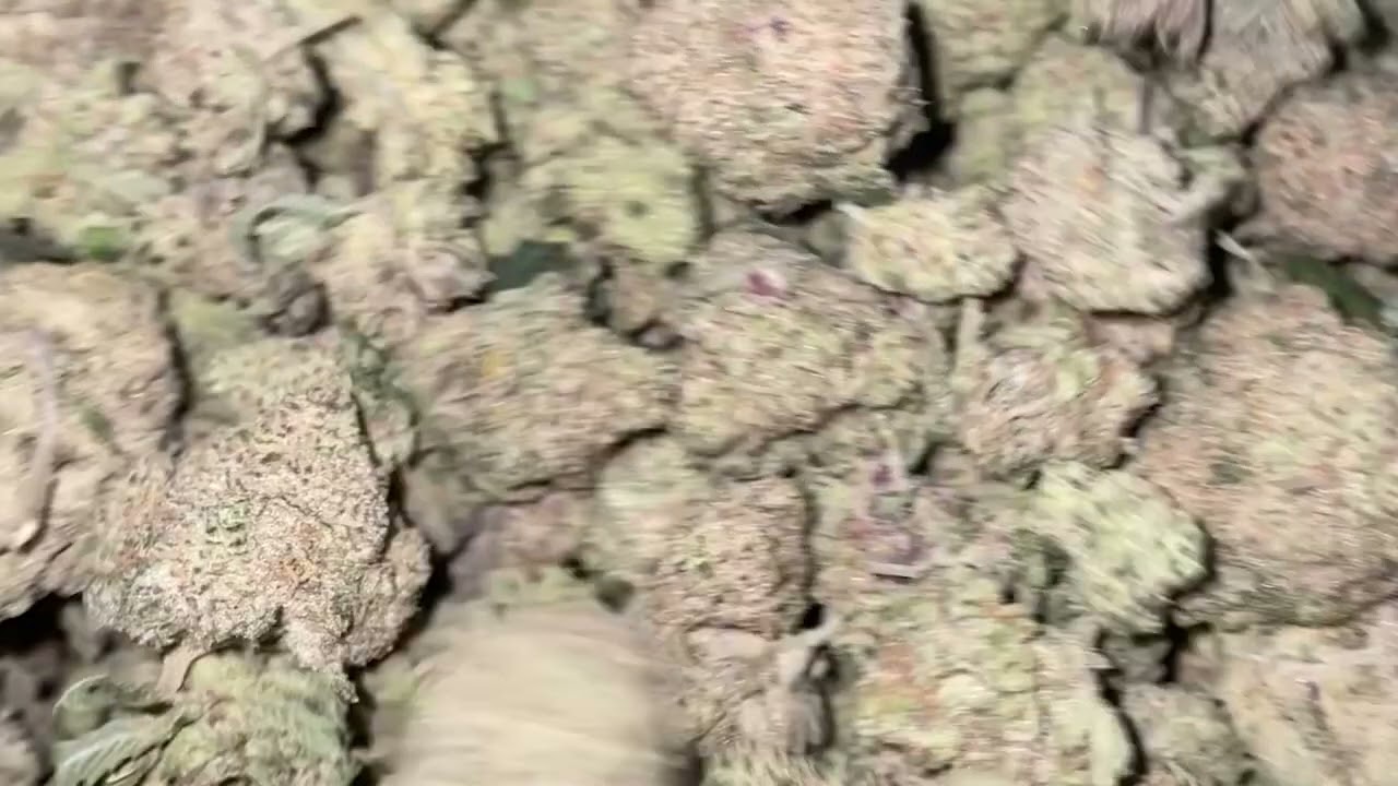 Bladeless Trimming Made Easy