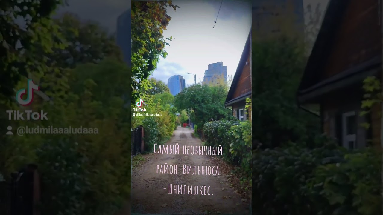 Шнипишкес &mdash; это удивительный район в Вильнюсе, который  является районом контрастов. #путешествия