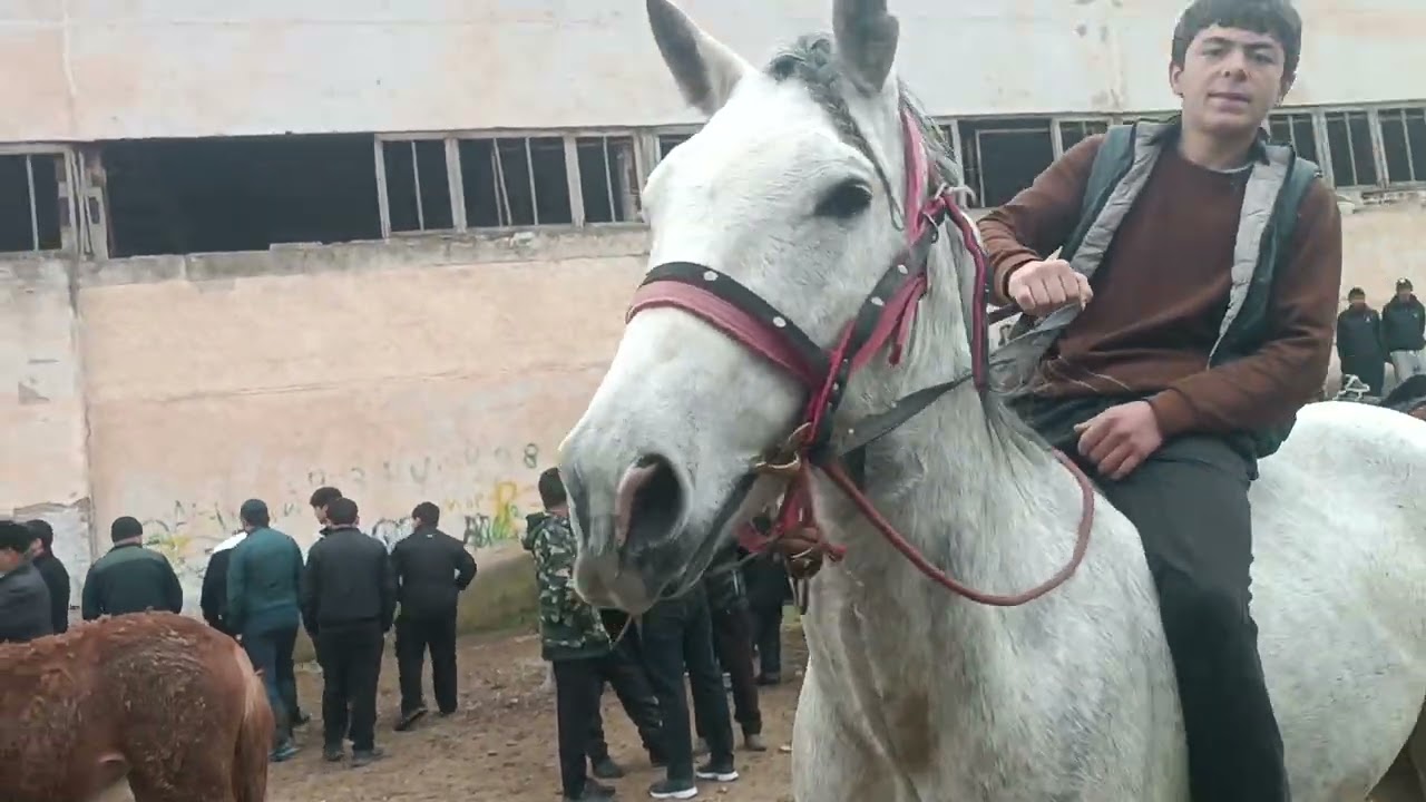 Асп бозори ленский раён тамошо кнен халоват барен 
