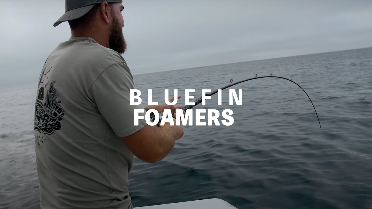 Late Season 60-80lb BLUEFIN FOAM // 34' Freeman