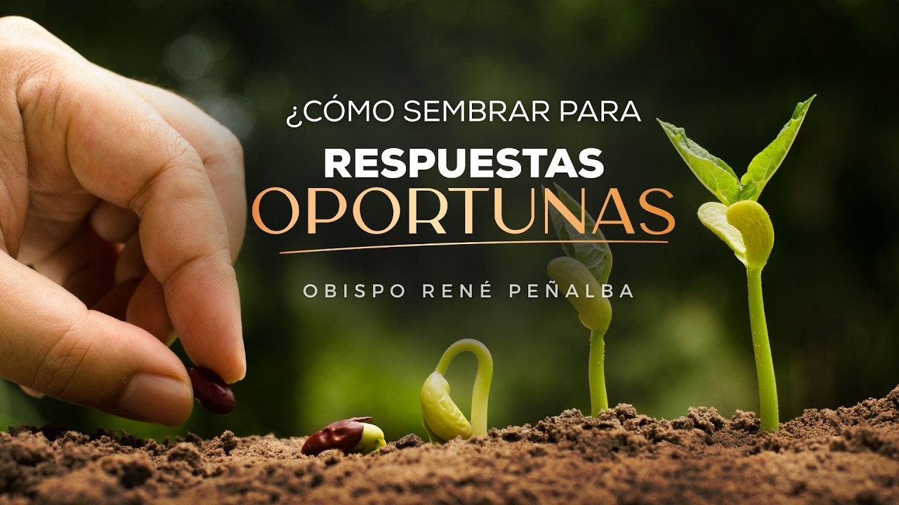 ¿Cómo sembrar para Respuestas Oportunas?