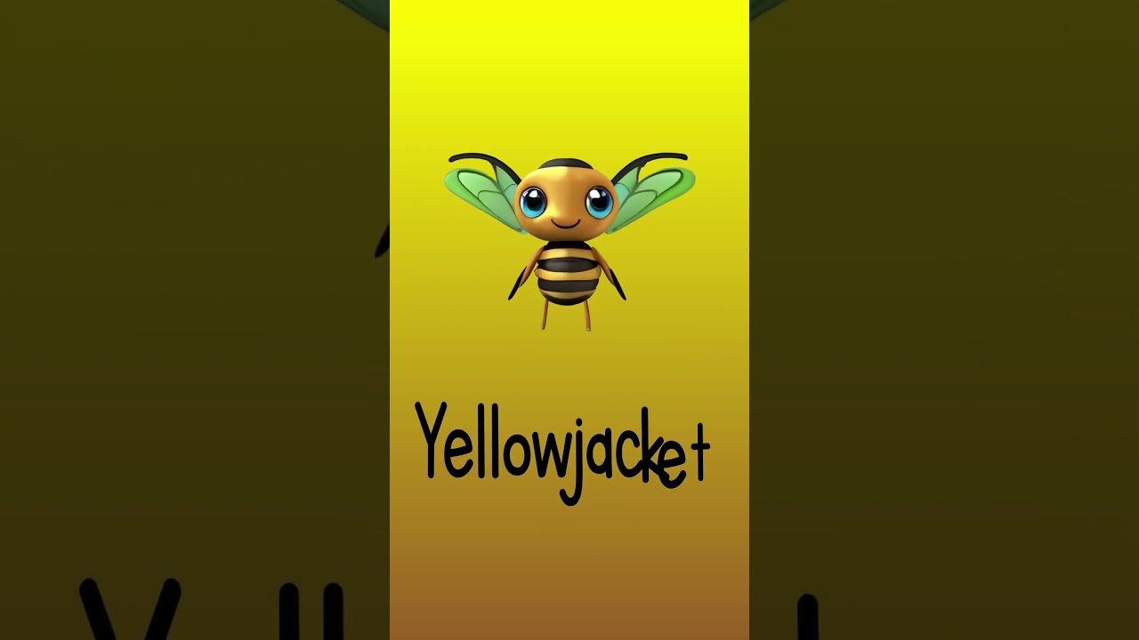 Words that start with Y - Learning Letters Animated! #education #learning #reading #alphabet #kids