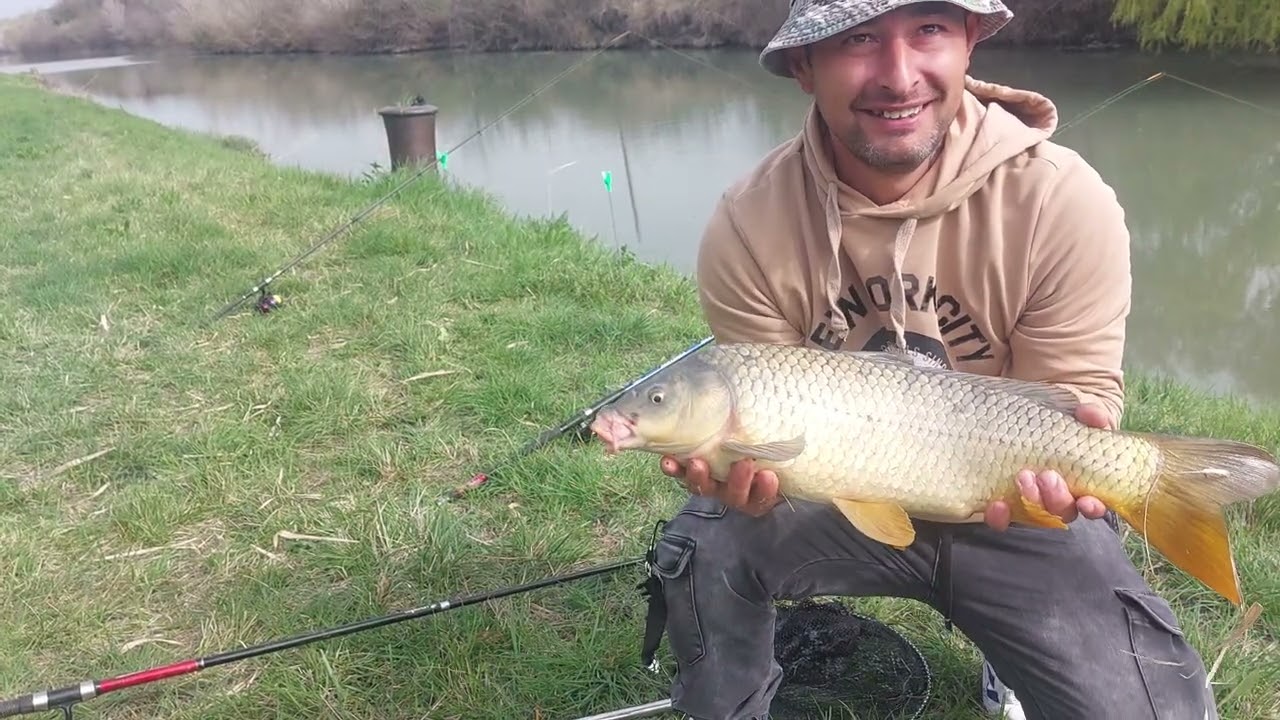 La  pescuit de 1 martie am prins monstru (martisoru) salbatic