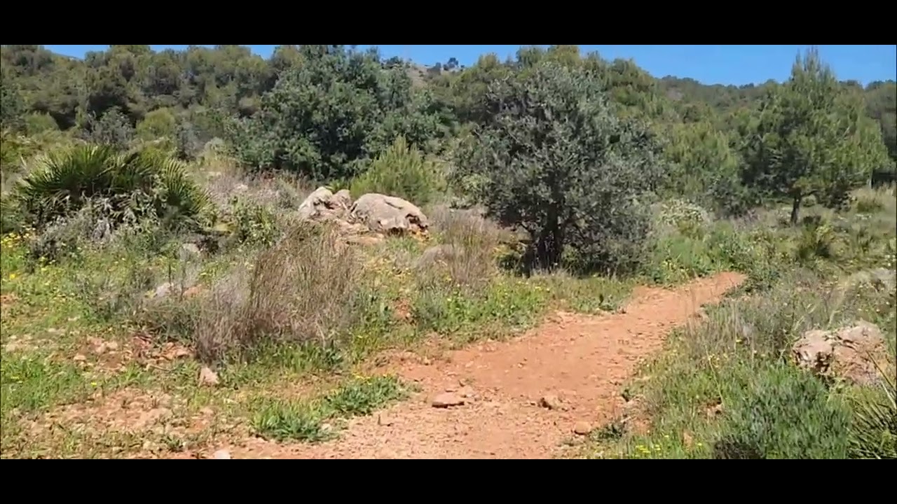 May 26th 2025 Hiking Near Benalmadena, Malaga Province, Spain