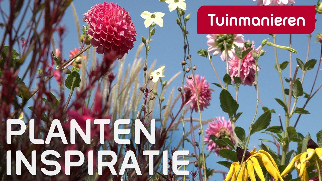 Inspiratie nodig voor waanzinnige bloeiers? | Tuinmanieren