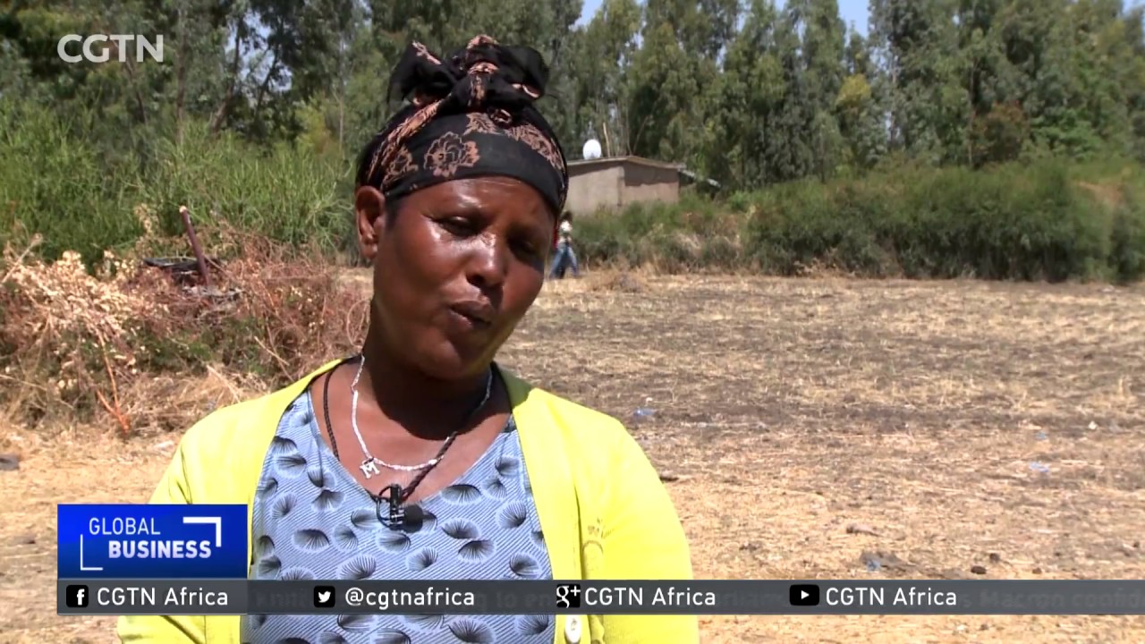 Ethiopia's small- scale farmers turn to micro-finance institutions
