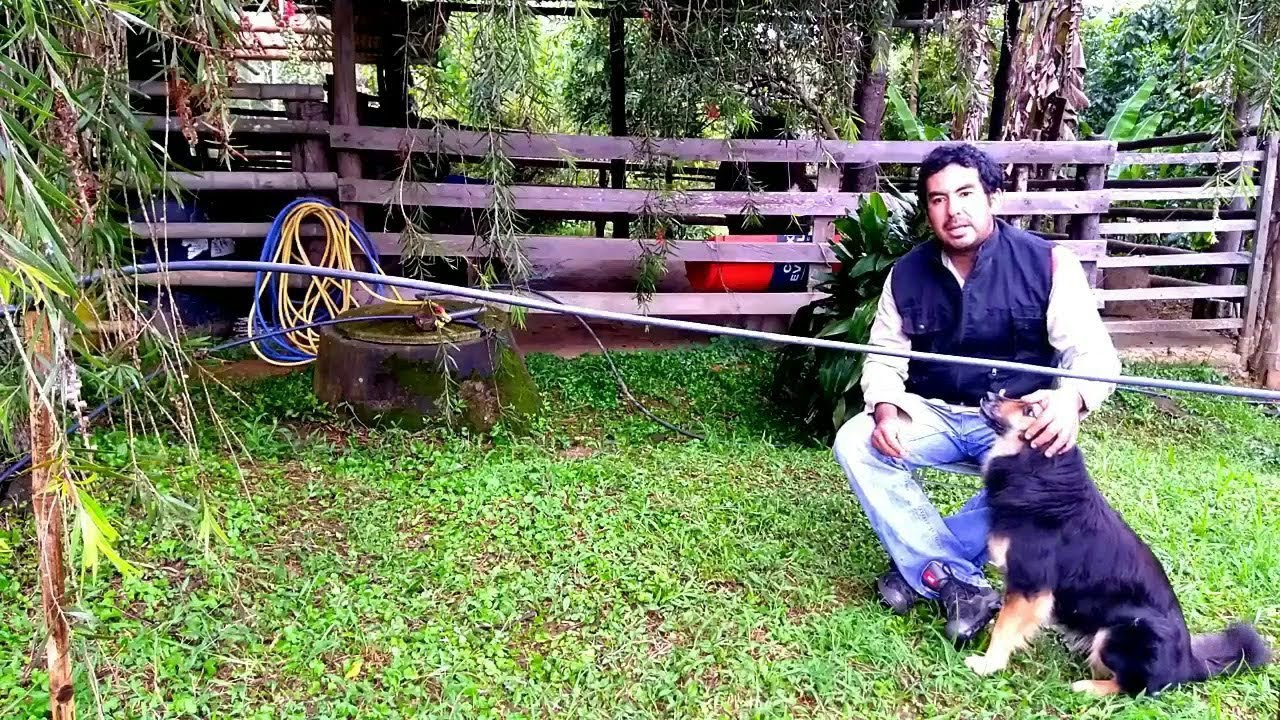 SISTEMA DE RIEGO PARA FORRAJE VERDE GERMINADO DE MAIZ   PARTE II