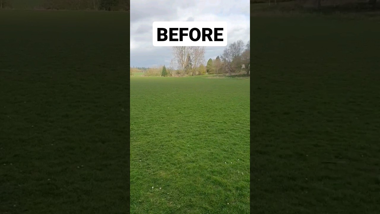 MOWING A FOOTBALL PITCH #shorts #youtubeshorts #shortswithcamilla #beforeandafter #satisfying
