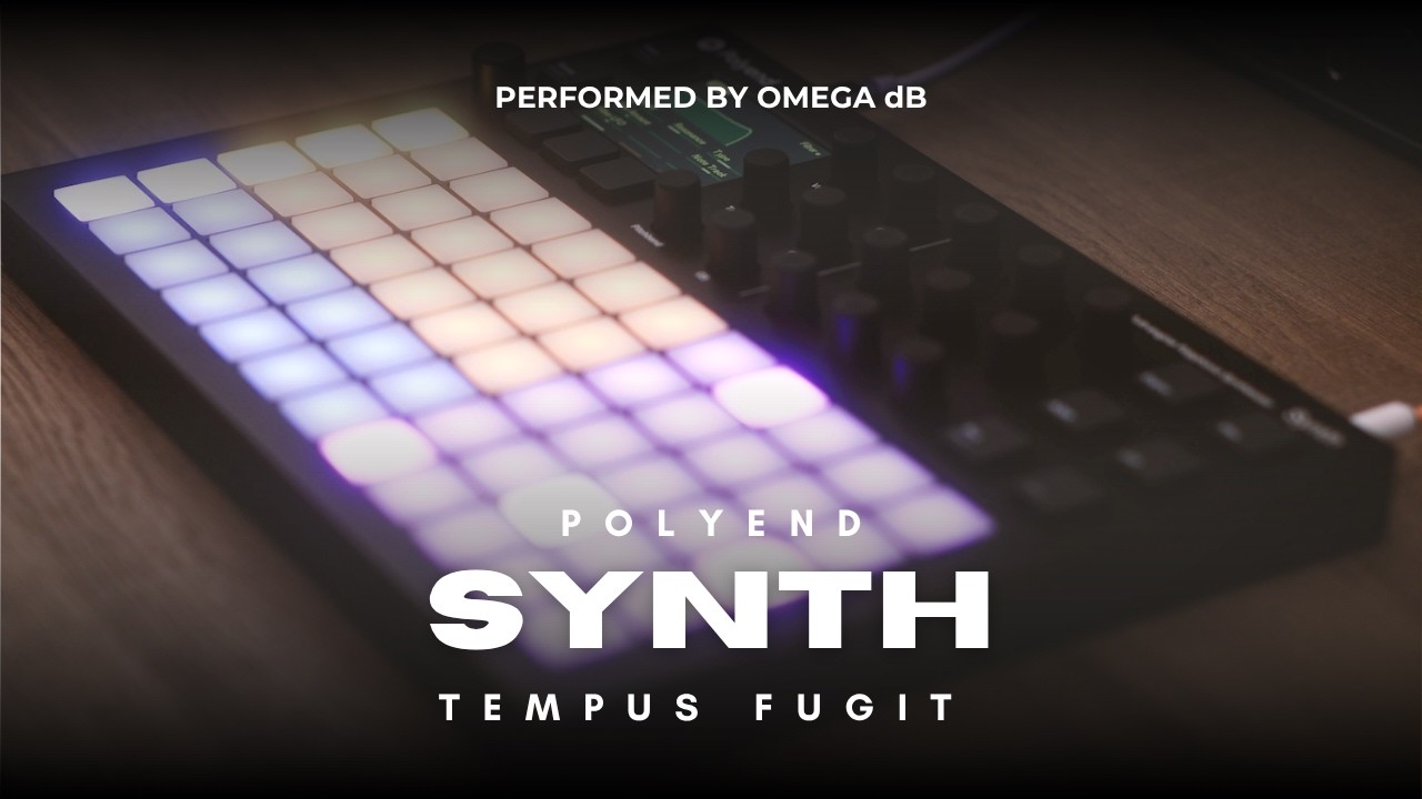 Polyend Synth: Tempus Fugit | OMEGA dB
