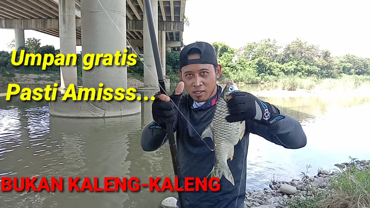 Tawes Babon ‼️ Tarikannya nggak ada yang jual Maseee