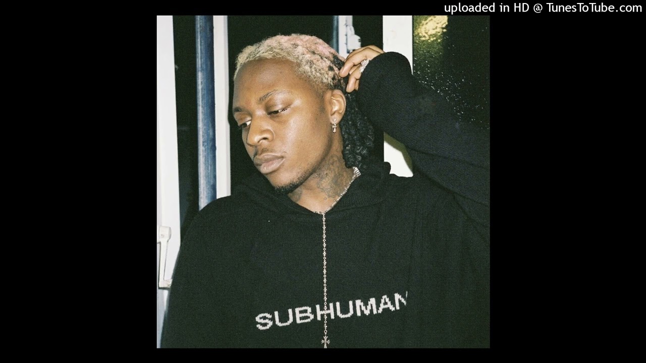 [FREE] unotheactivist + plaqueboymax type beat - black history