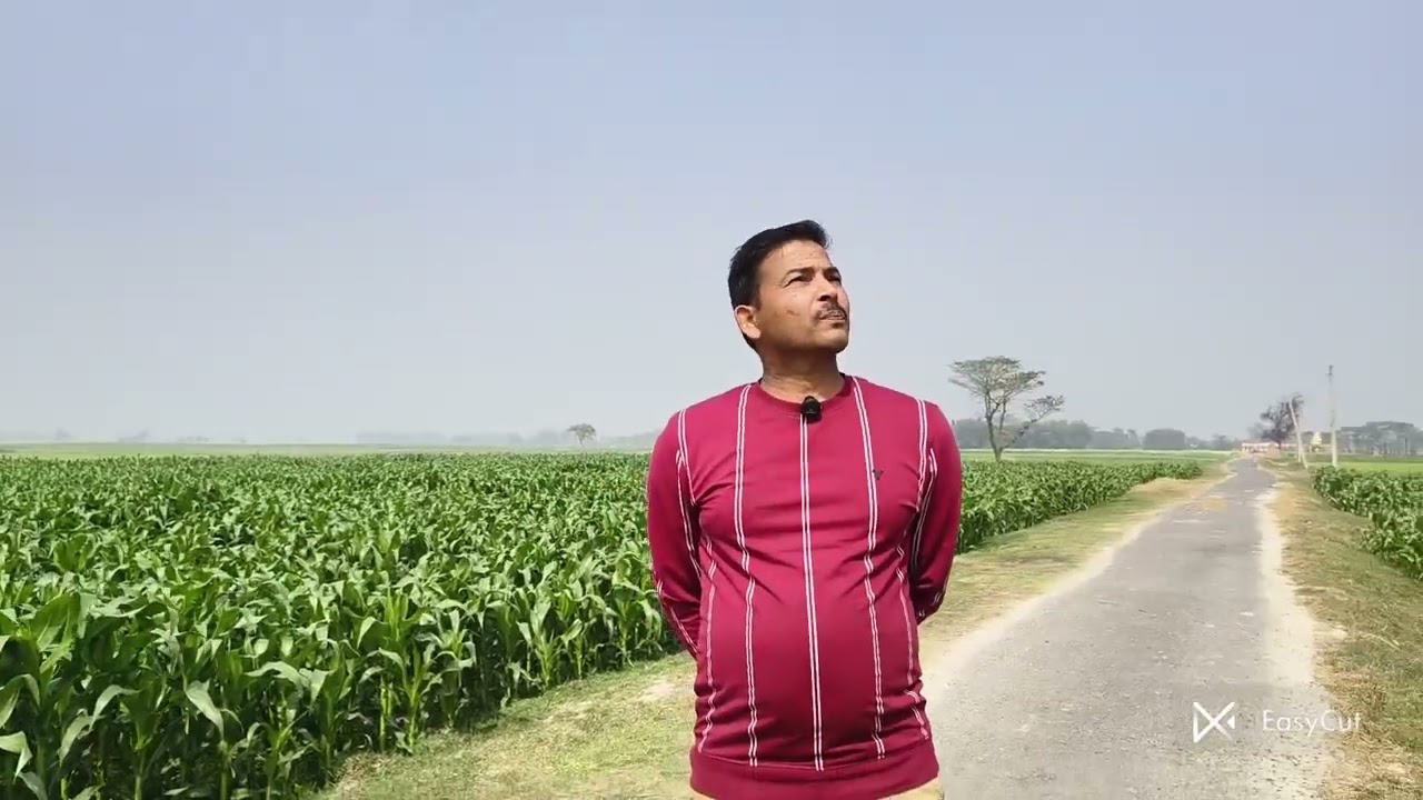 ट्रांसफार्मर चोरी और विरान खंभा