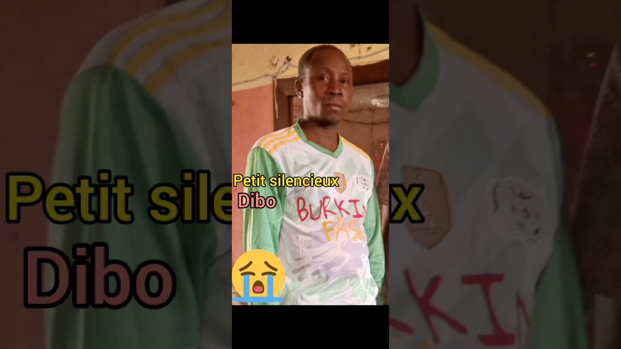 Petit silencieux-Dibo