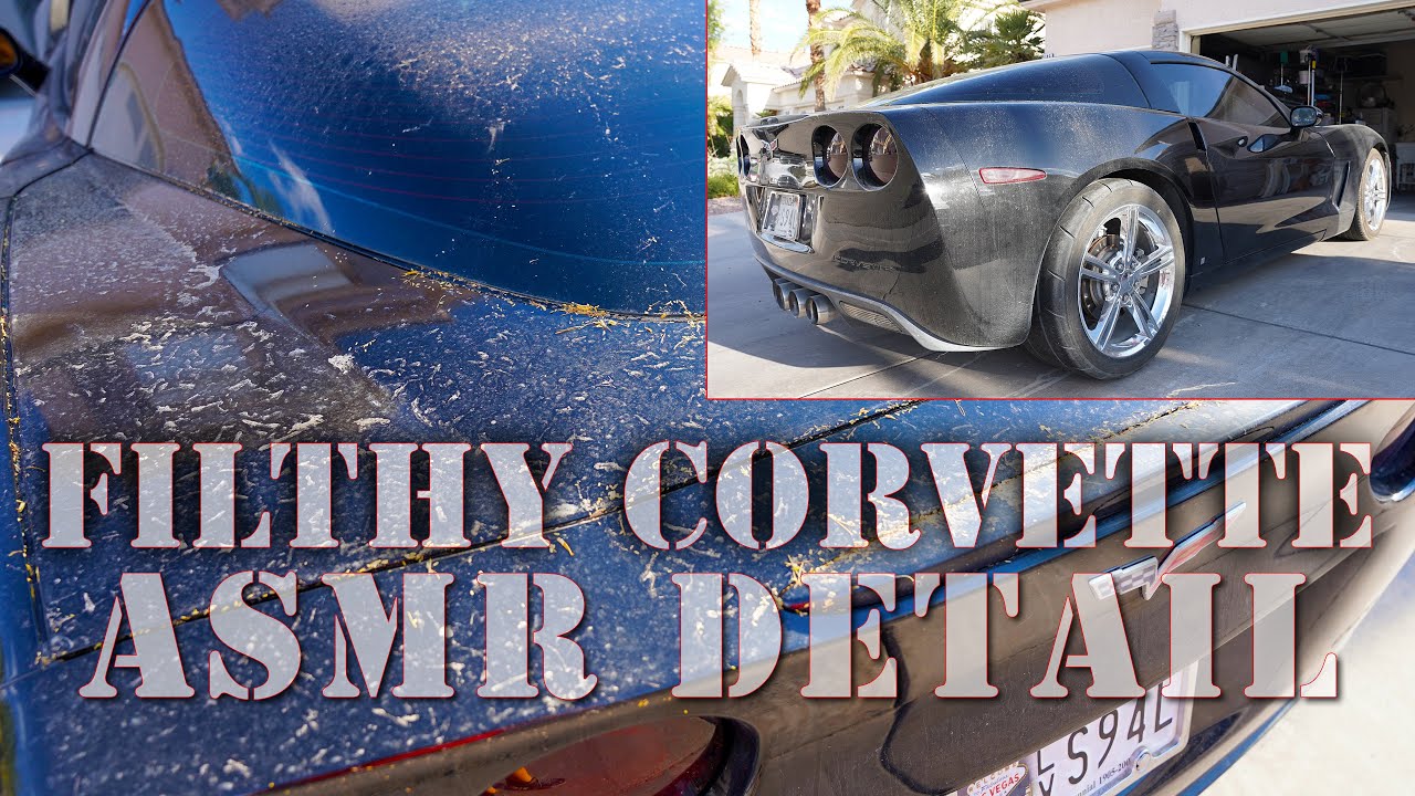 Deep Cleaning A Filthy Chevy Corvette | ASMR Car Detailing Car Wash!