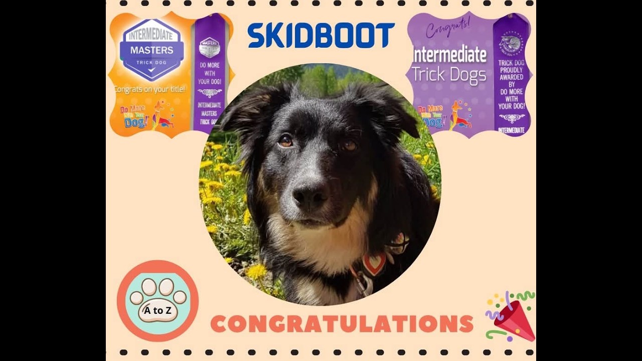 Intermediate tricks with Skidboot