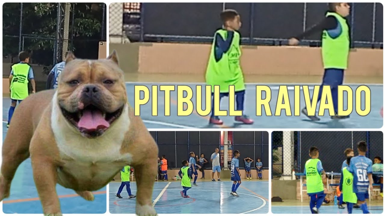 Jogo Treino - etapa 3 - Talentos Capixaba #futebol #craques #futeboldebase #gol #jogador #sub10