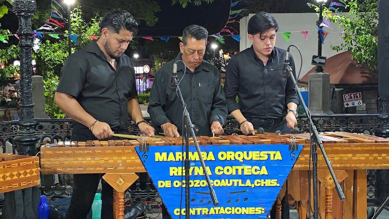 MARIMBA REYNA COITECA CANCIONES PARQUE DE LA MARIMBA 🇲🇽TUXTLA GUTIÉRREZ CHIAPAS MEXICO MUSICA