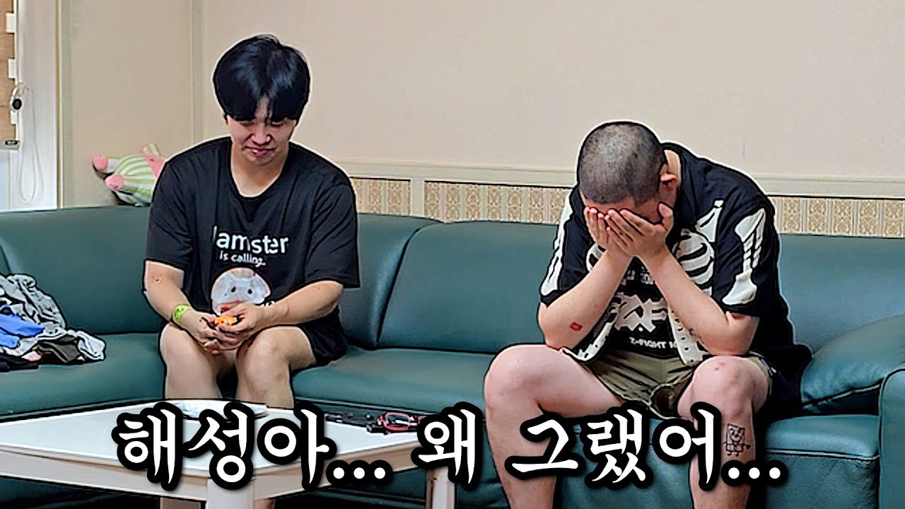 (긴급 해제) 해성이가 사고쳤습니다.