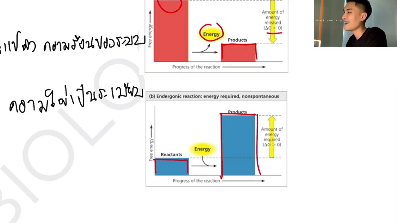 การหายใจระดับเซลล์เเละเอนไซม์ ม.4 by Interval_biology