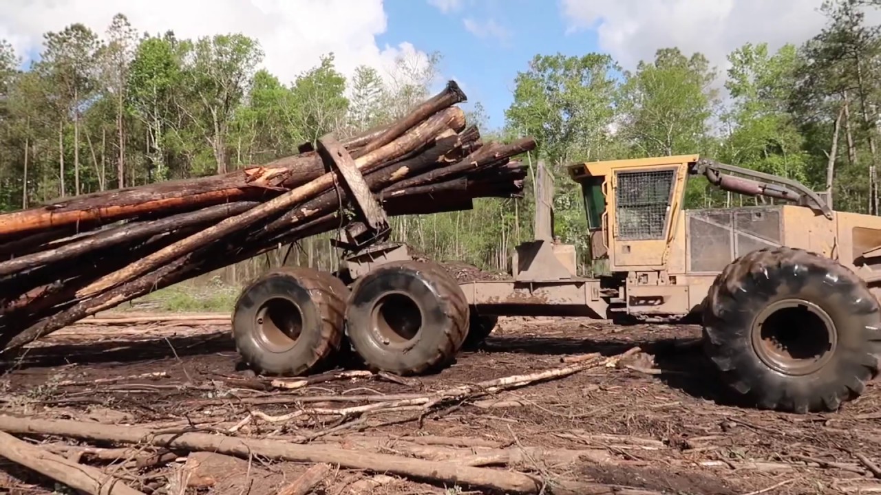 Swamp Loggers with Bobby Goodson, lets go into the swamp