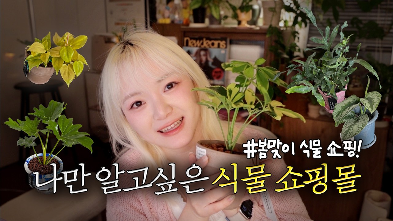 🌱이 집 식물 포장 미쳤다…봄맞이 식물 잔뜩 삼 +추천 쇼핑몰 🛒