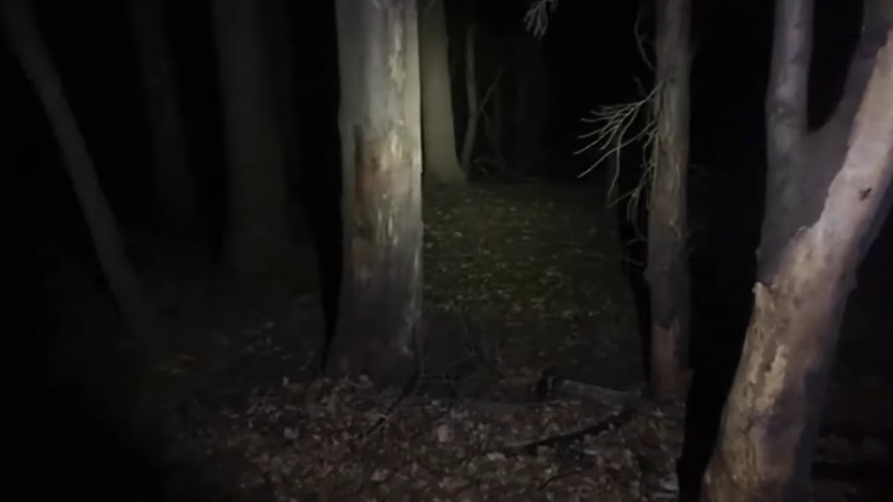 TAPE 03