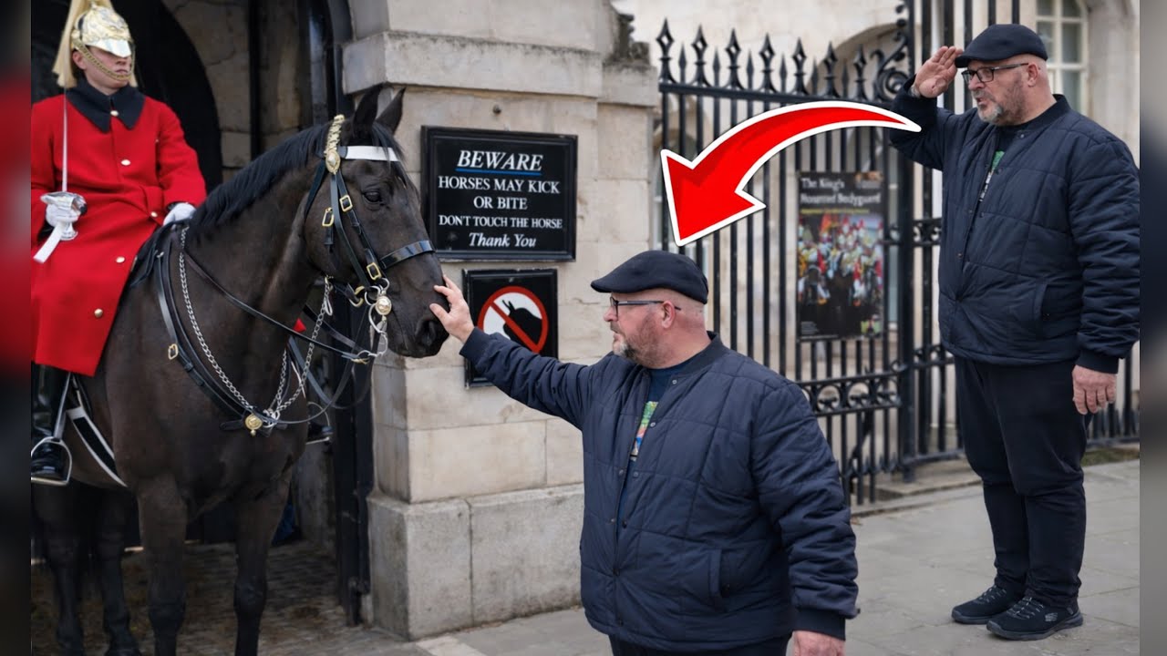 Ex-Soldier Salutes The King’s Guard - Then Went on  to DO THIS! | Horse Guards London