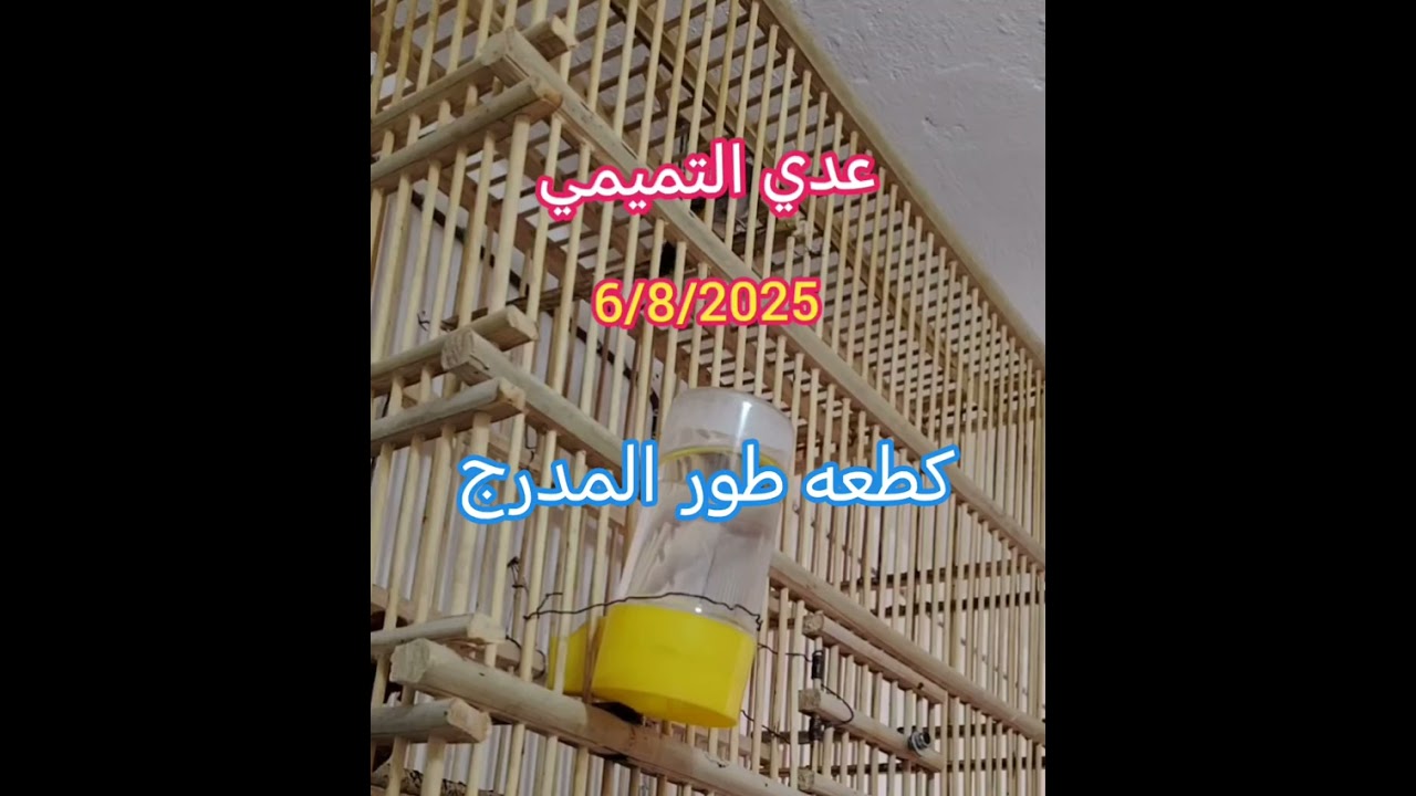٦ آب، ٢٠٢٥