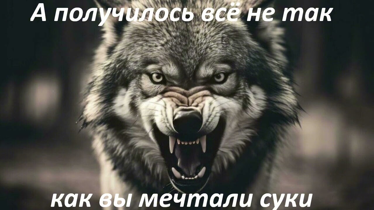 #музыка #А получилось все не так, как вы  мечтали суки