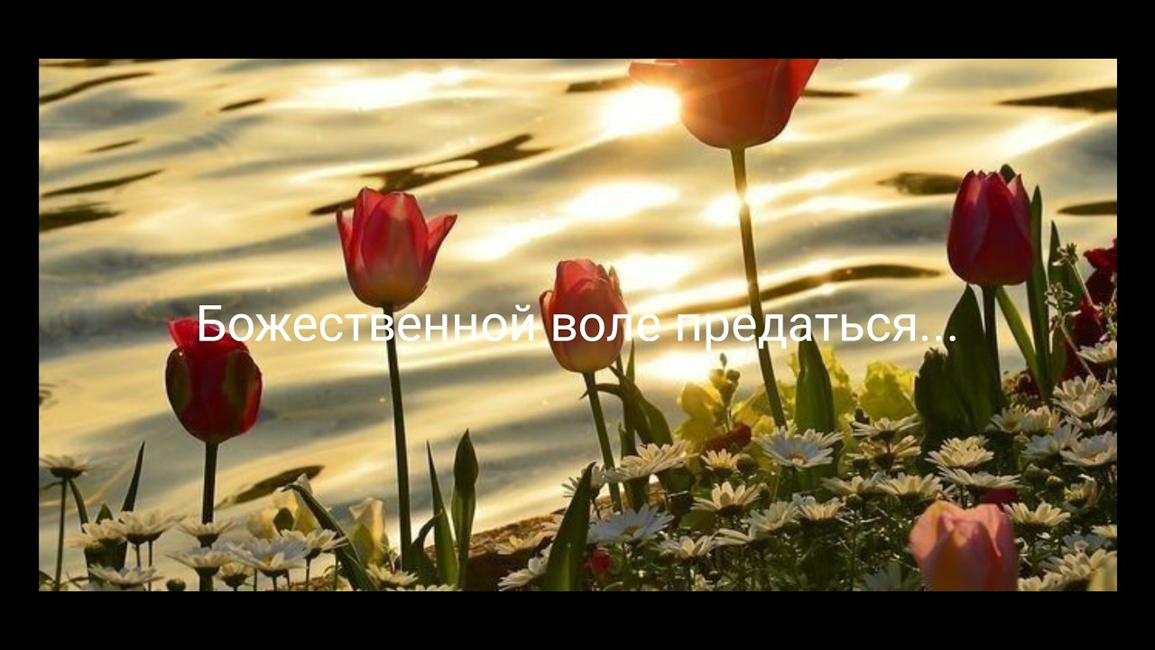 Божественной воле предаться.