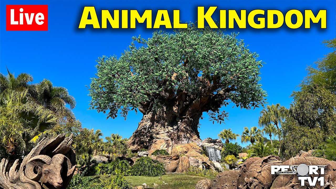 🔴Live: Whimsical Wednesday at Animal Kingdom - Walt Disney World Live Stream - 1-28-26