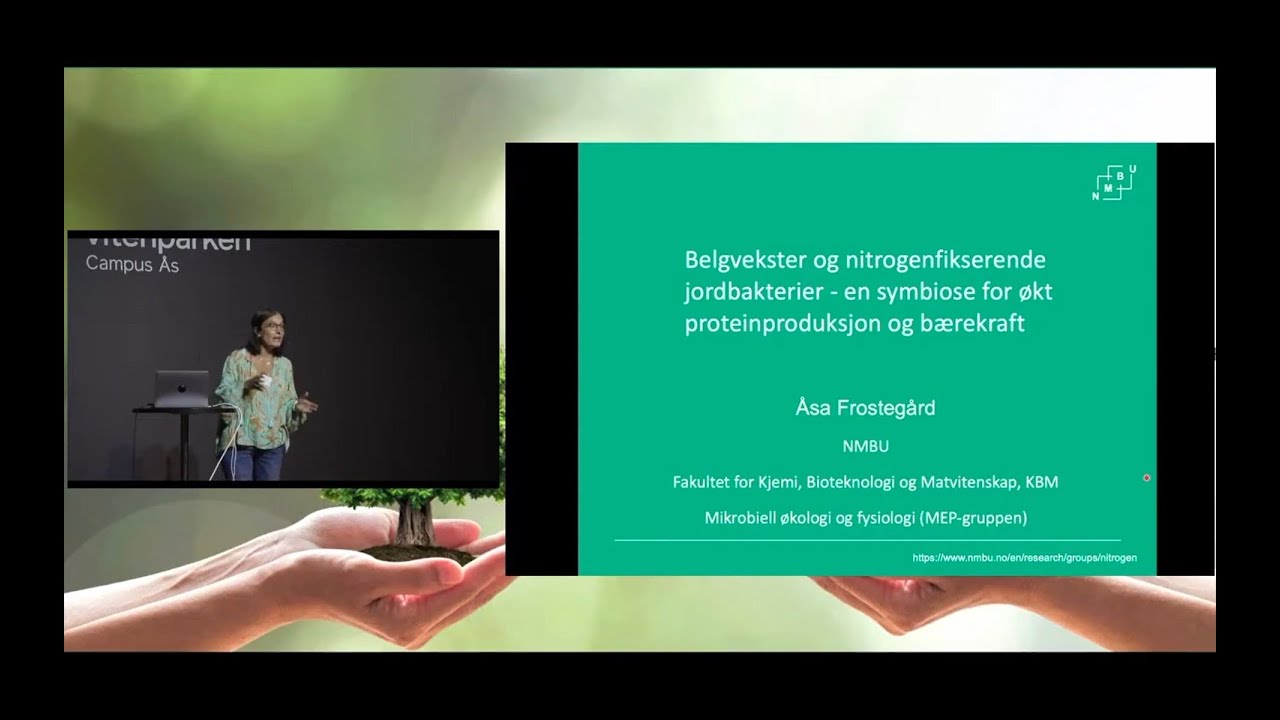 Belgvekster og nitrogenfikserende jordbakterier - Åsa Frostegård