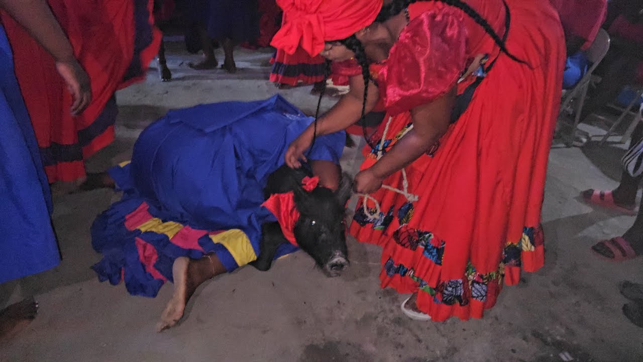 KOCHON DANTOR KOURI VINI GADE KOMAN MANBO MARIE MICHELLE FÈ  MOUN PRAN LWE NAN SEREMONI AN 😳😳