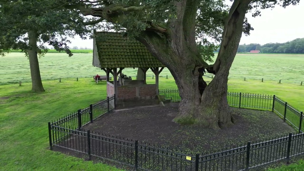De Kroezeboom 2024