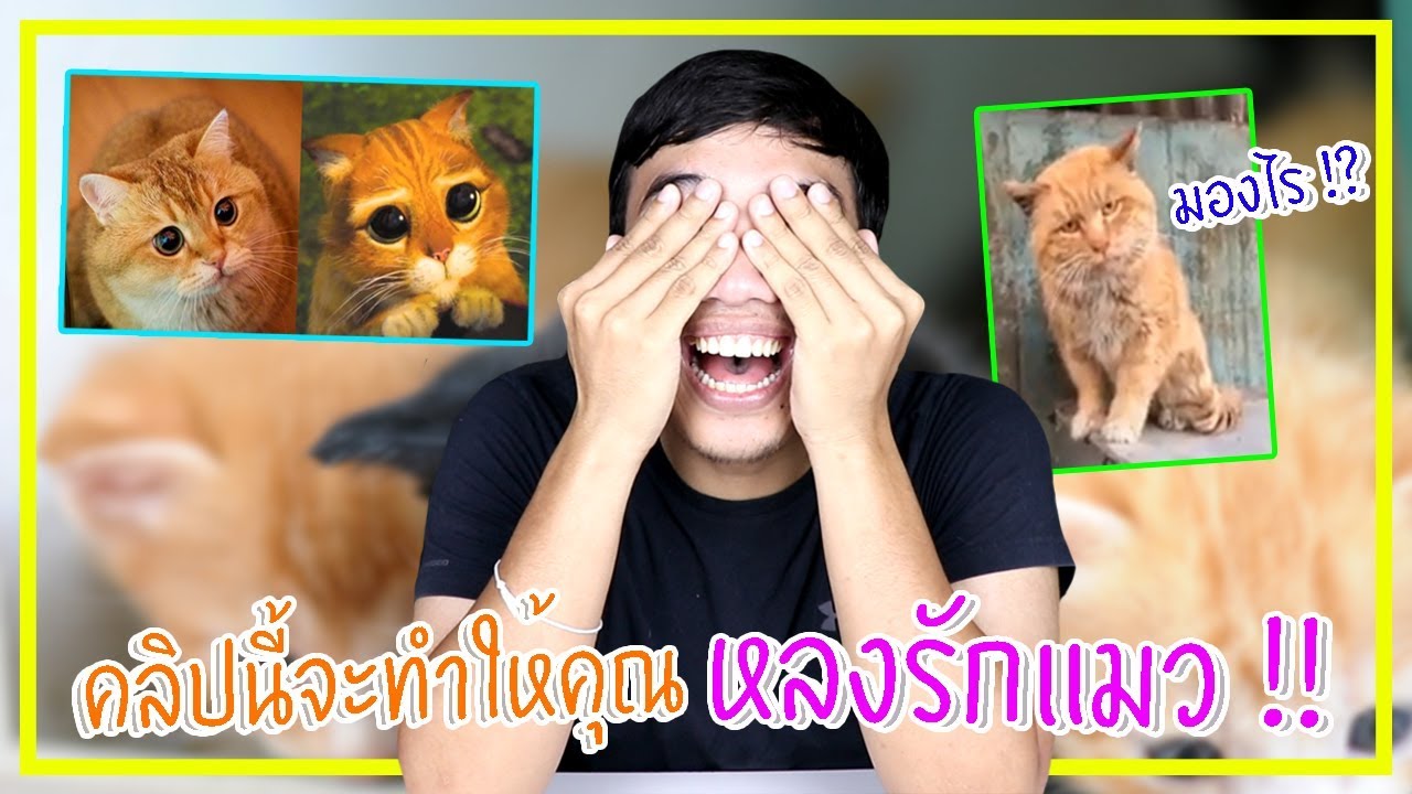 Challenge เจอร์ Ep.20 จงหลงไหลในตัวน้องแมว !!