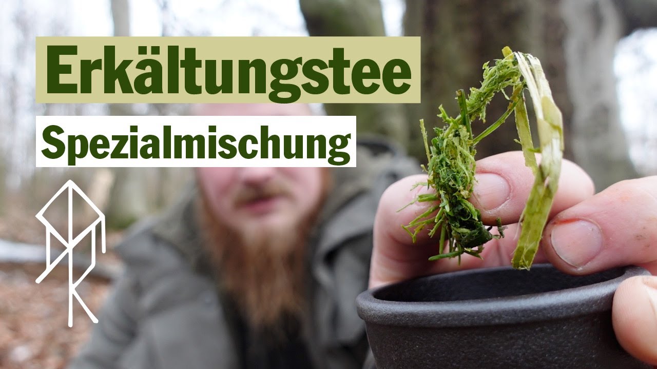 Erkältungstee Spezial -  Der ultimative Heiltee aus 5 Pflanzen | Bushcraft | Survival | Urviech