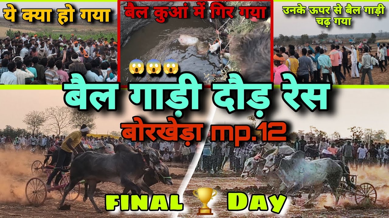 बैल गाड़ी दौड़ रेस मुकाबला बोरखेड़ा खण्डवा जिला मध्यप्रदेश । final 🏆 Day । बैल कुआं में गिर गए।dk 
